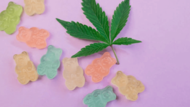 500 chews landing rd