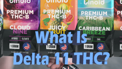 Does delta 11 get you high