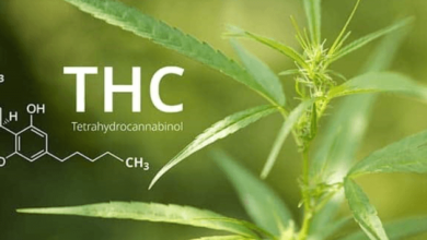 Delta 9 Legal in Florida