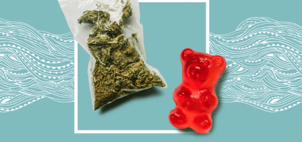 CBD pharm gummy bears