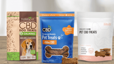 Are CBD treats good for Dogs