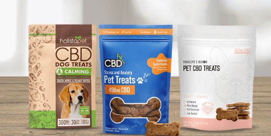 Are CBD treats good for Dogs