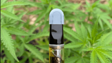 3chi comfortably numb