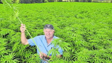 5120x1440p 329 the talos principle images