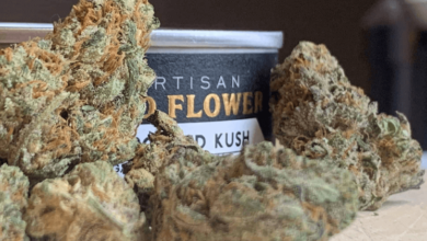 5120x1440p 329 nature