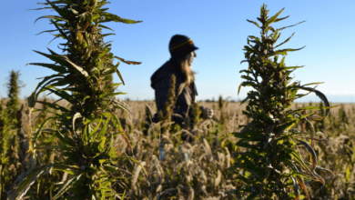 5120x1440p 329 amoled