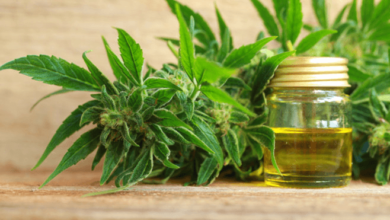 is delta 8 legal in north carolina