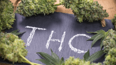 is delta 8 thc legal in florida