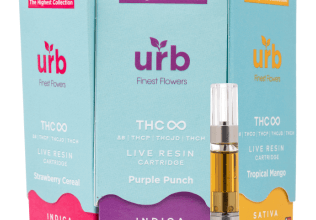 urb live resin