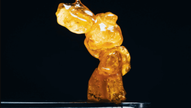 how much is a gram of wax