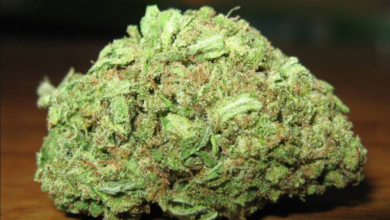 apple jacks strain