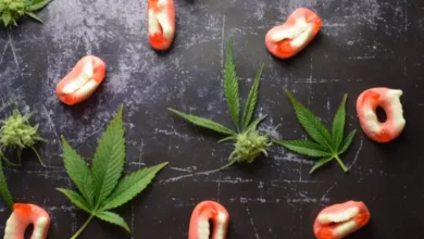 biolife CBD gummies male enhancement