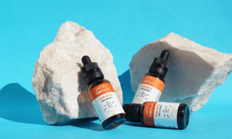 Is CBD Oil Safe For Dogs?