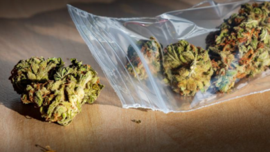 Efficient Weed Delivery Services In NYC: Order & Buy Your Weed Products Online