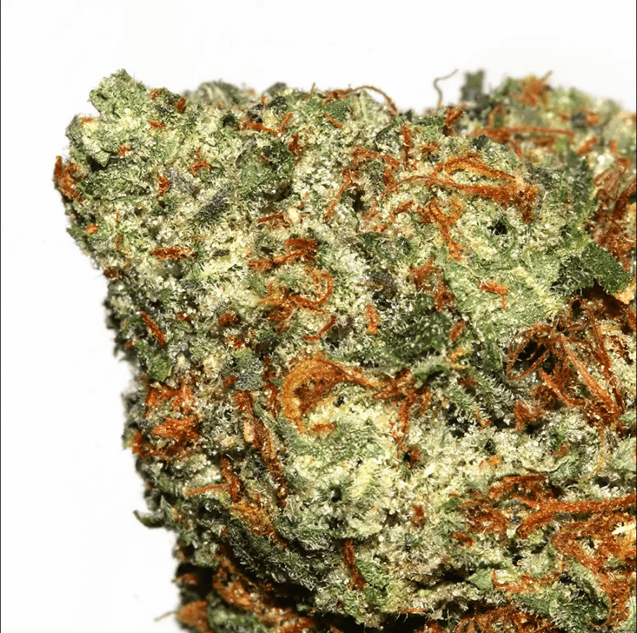The Lemon Runtz Strain A Zesty Twist on Cannabis