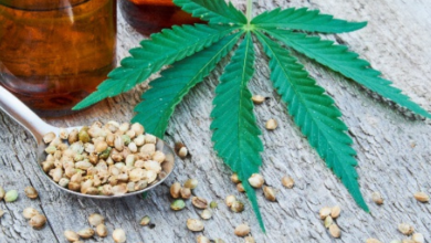 Trasferimento in Minivan Privato Da Sydney Cbd Downtown All'aeroporto Di Sydney 1 7 Persone