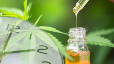 Discover the Benefits of Delta 8 Gummies CBD: American Shaman of East Richardson