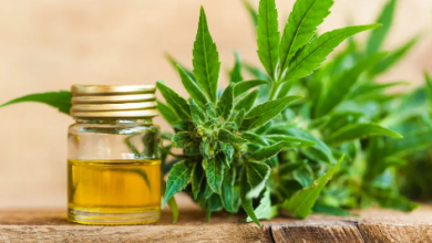 CBD Cream for Pain Walmart