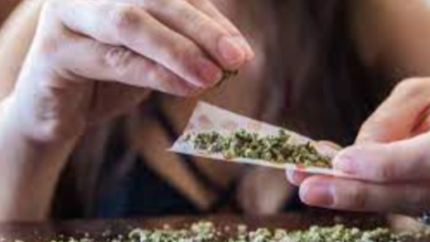 Does Cbd Smell Like Weed