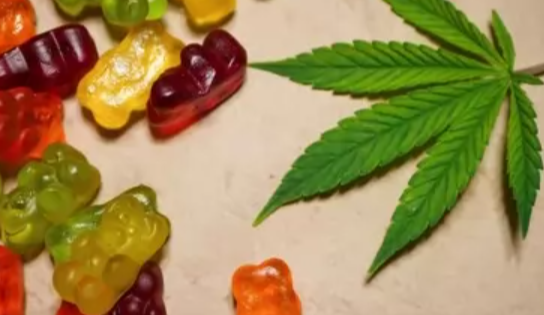 Green Otter Cbd Gummies Reviews