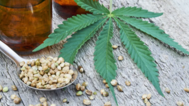 Is Cbd Legal in Costa Rica