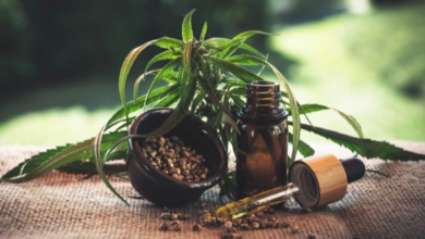 Is Cbd Legal in Ireland