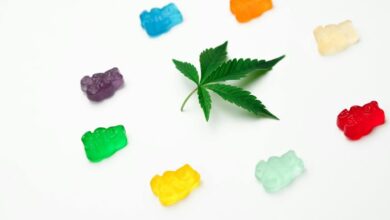 cbd gummies legality florida