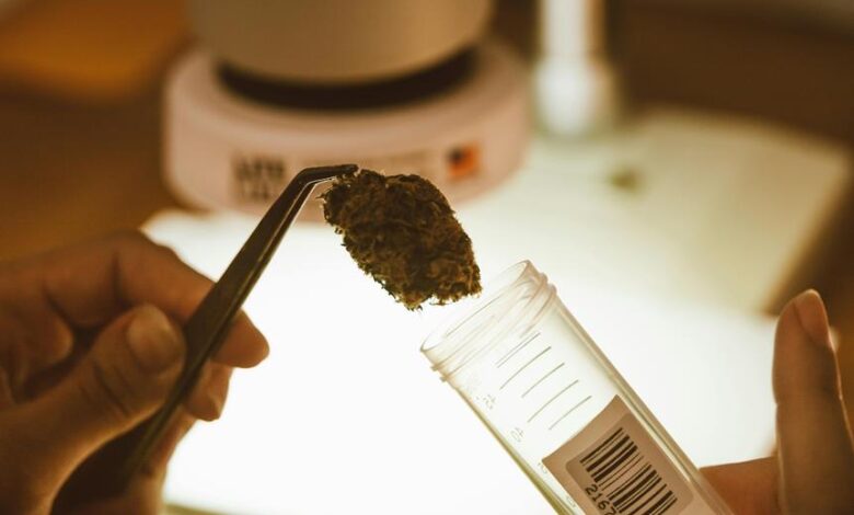 labcorp cbd testing available