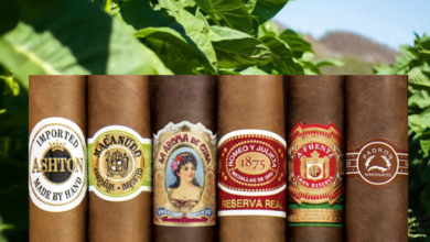 The Best Cigar: For Novices, What Are the Best Cigars?