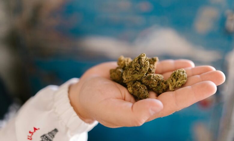 cbd s distinct aromatic profile