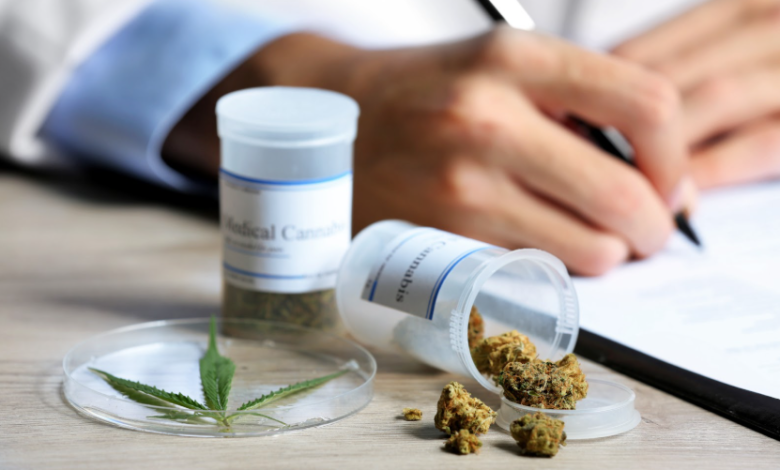 Cannabis Marketing Agency Experts in Multi-Channel Campaigns