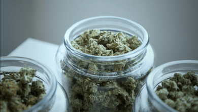 After 50 Shop Closures: Here’s the Best Weed Delivery in DC