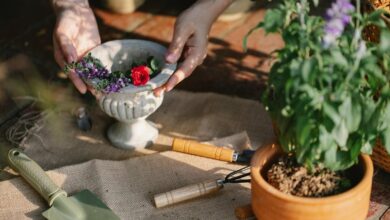 digital tools for growth