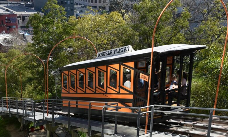 elevate your online marketing