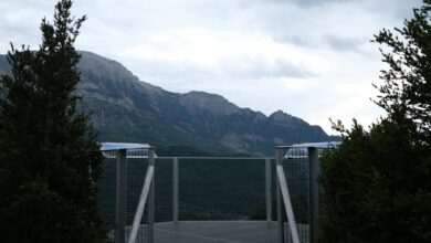 online services enhancement platform