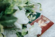registry entries for numeric ids listed