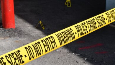 registry entries reveal multiple investigations