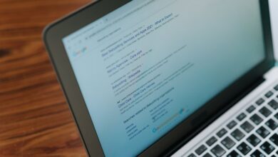 registry search findings summarized succinctly