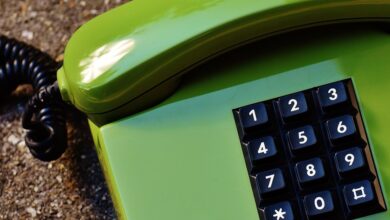 verified numbers lookup request details