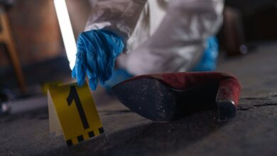 verified registry evidence ids listed